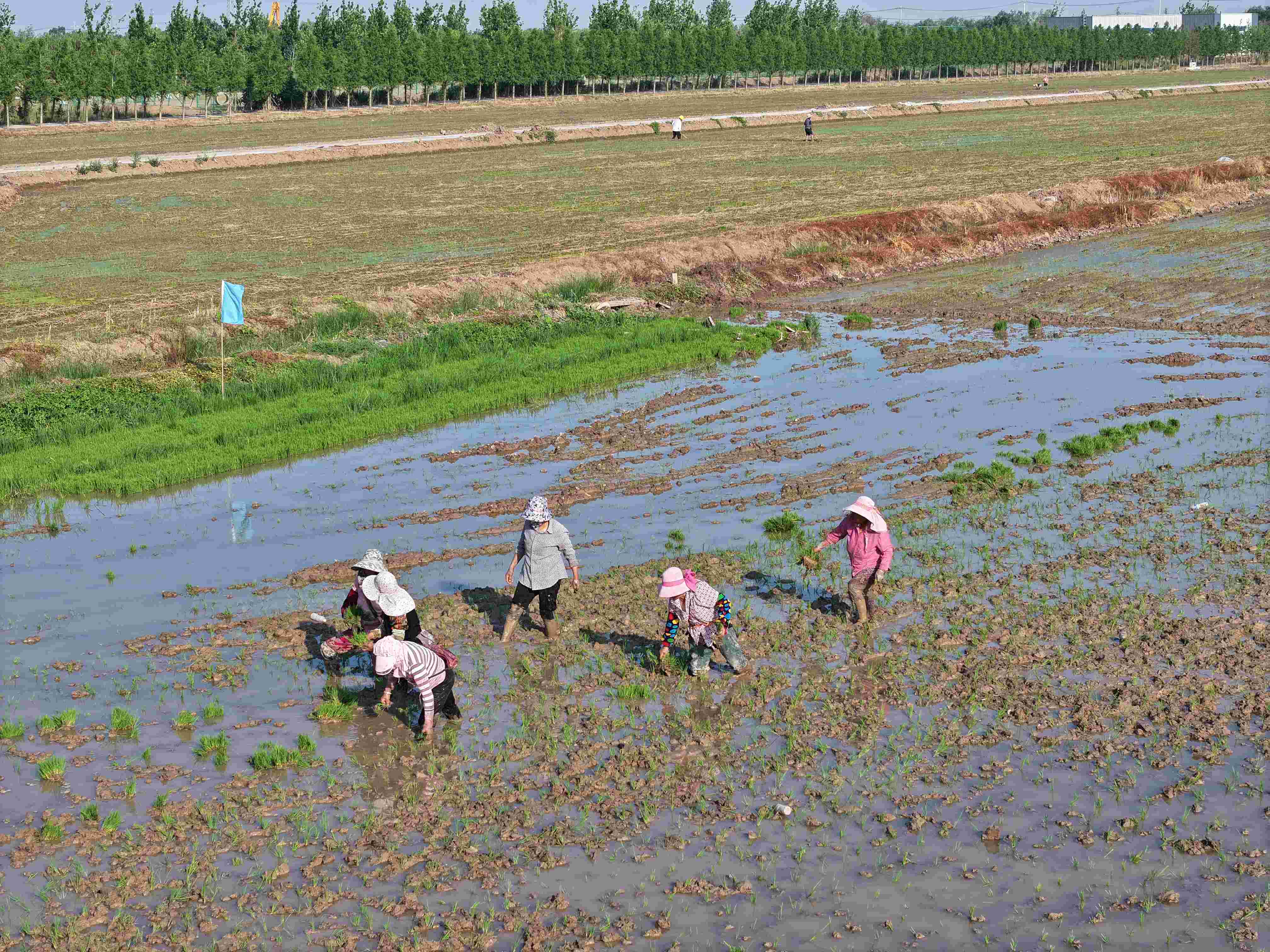 20240618 云臺(tái)：讓生態(tài)飯?jiān)匠栽较?1).jpg