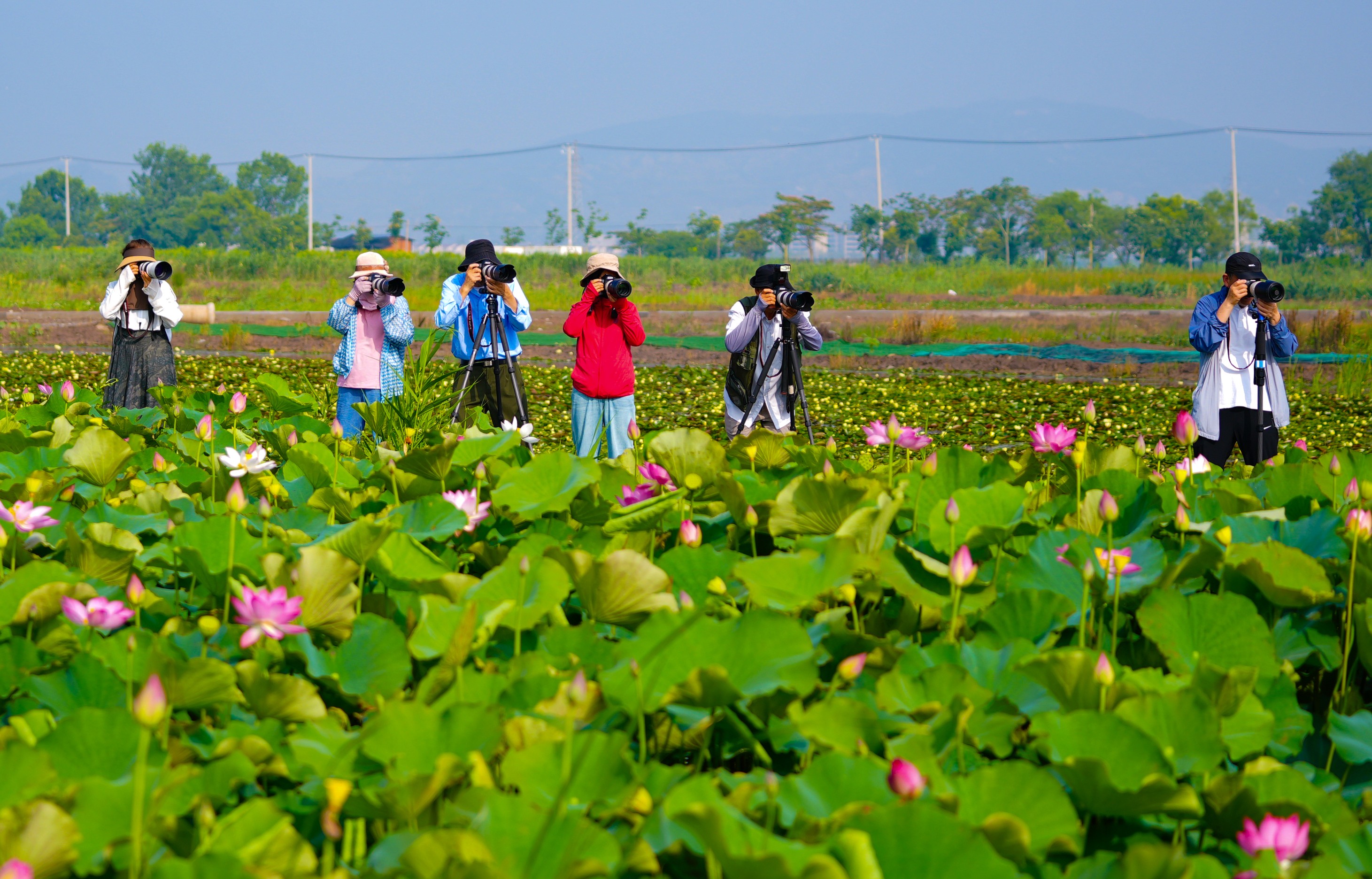 20240712 云臺(tái)創(chuàng)新生態(tài)旅游之路 激發(fā)美麗鄉(xiāng)村新活力 (2)(1).jpg