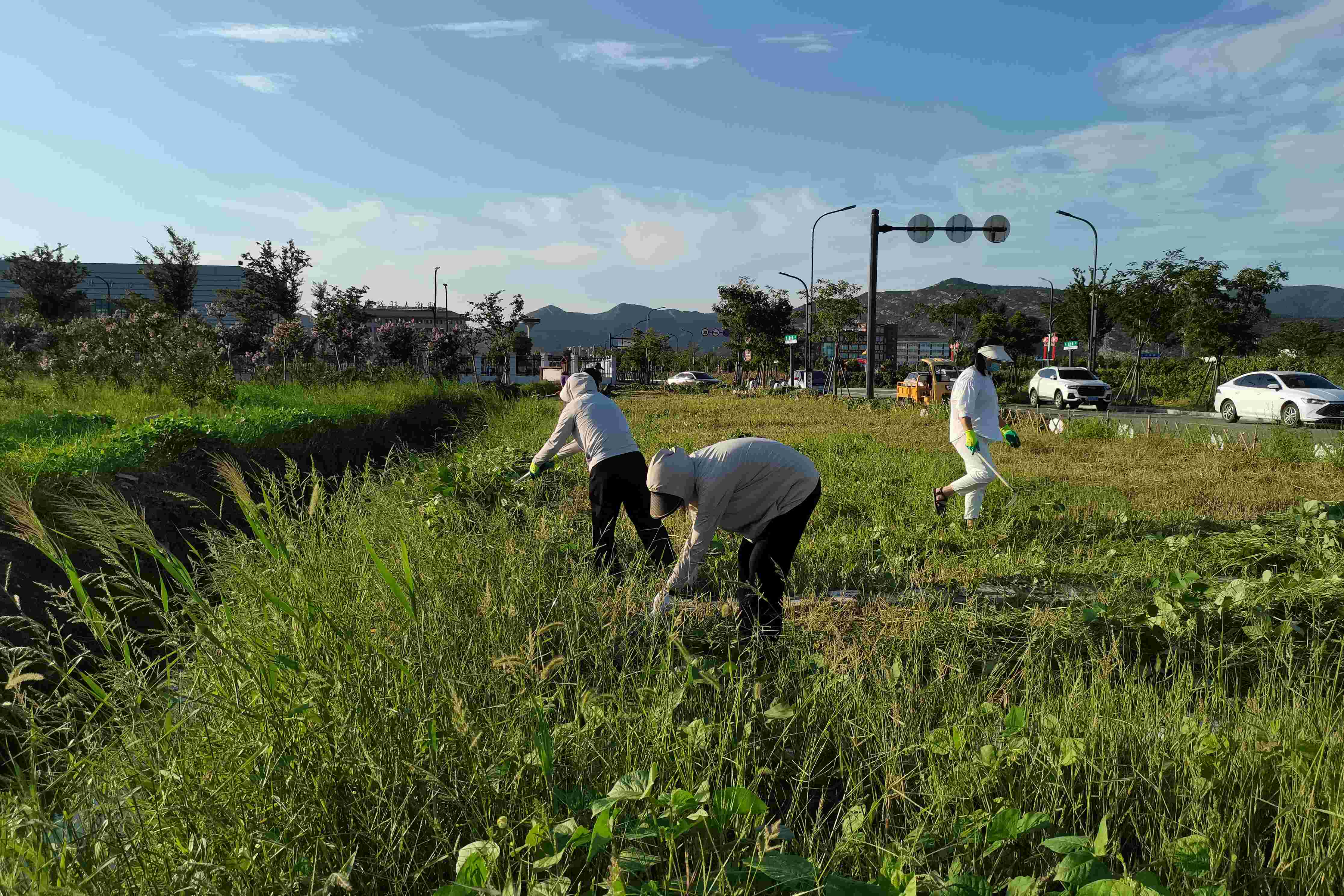 20240909 云龍房產、華泰物業聯合開展支部主題黨日活動(1).jpg